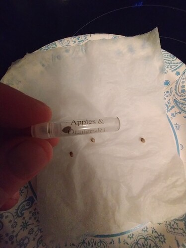 IMG_20251010_041311852